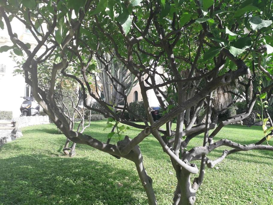 La Casa Di Anna, In Palazzina Liberty Fronte Parco Διαμέρισμα Bordighera Εξωτερικό φωτογραφία