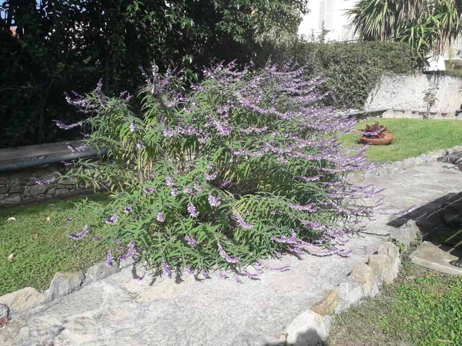 La Casa Di Anna, In Palazzina Liberty Fronte Parco Διαμέρισμα Bordighera Εξωτερικό φωτογραφία